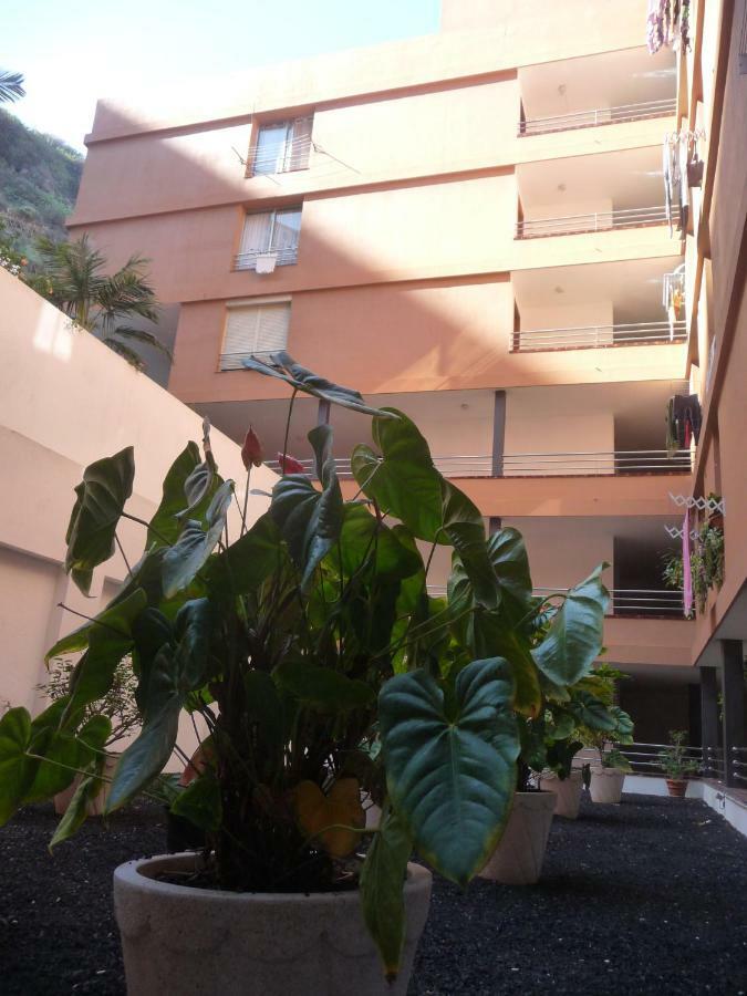 Martianez Apartamento Puerto de la Cruz  Exterior foto
