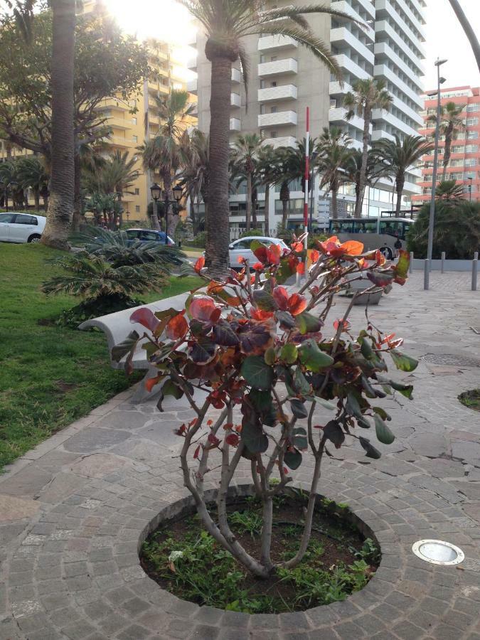 Martianez Apartamento Puerto de la Cruz  Exterior foto